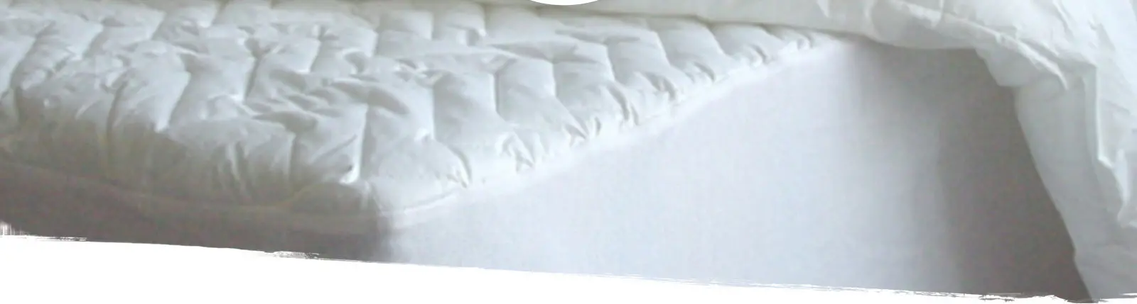 Best Mattress Cleaning Services