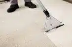 carpet cleaning