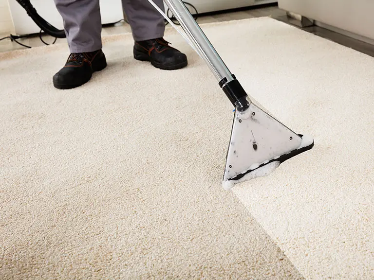 img-carpet-clean