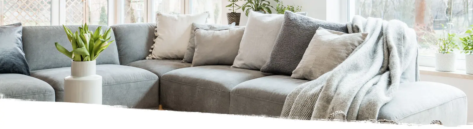 Upholstery Cleaning Services Ottawa