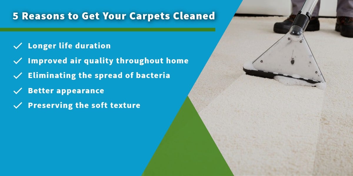 5 reasons to get your carpets cleaned | Clean Freaks