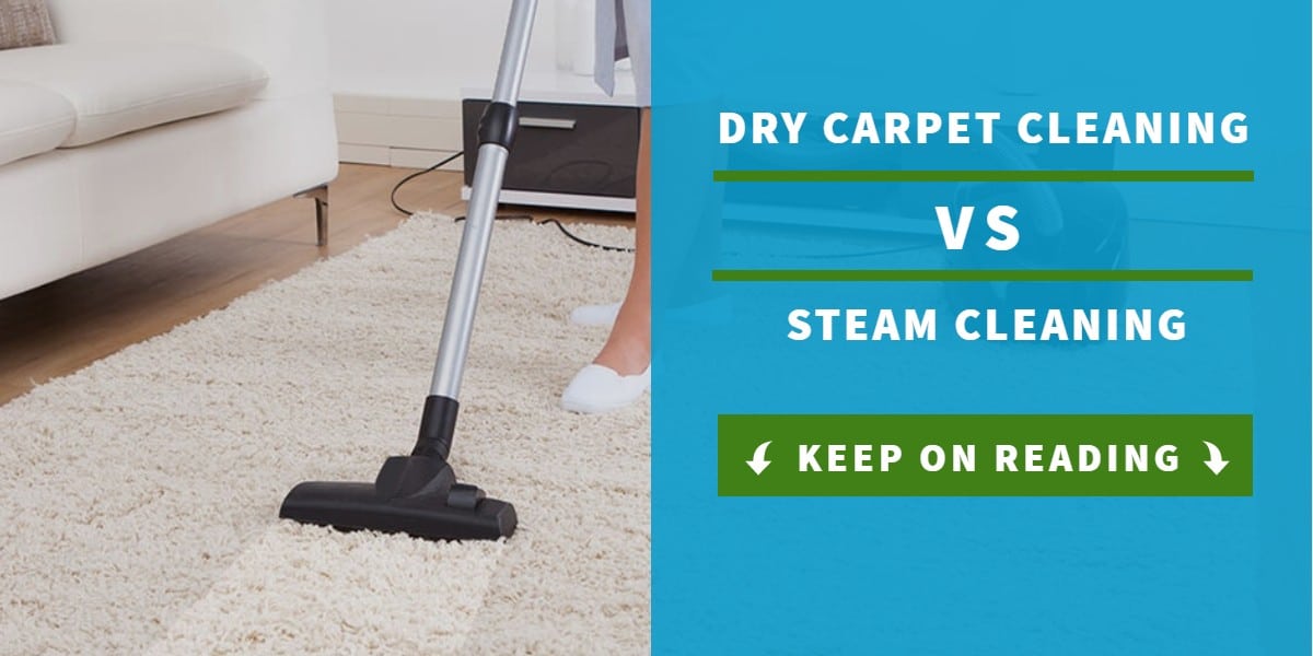 Why you should hire a professional steam cleaner | Clean Freaks