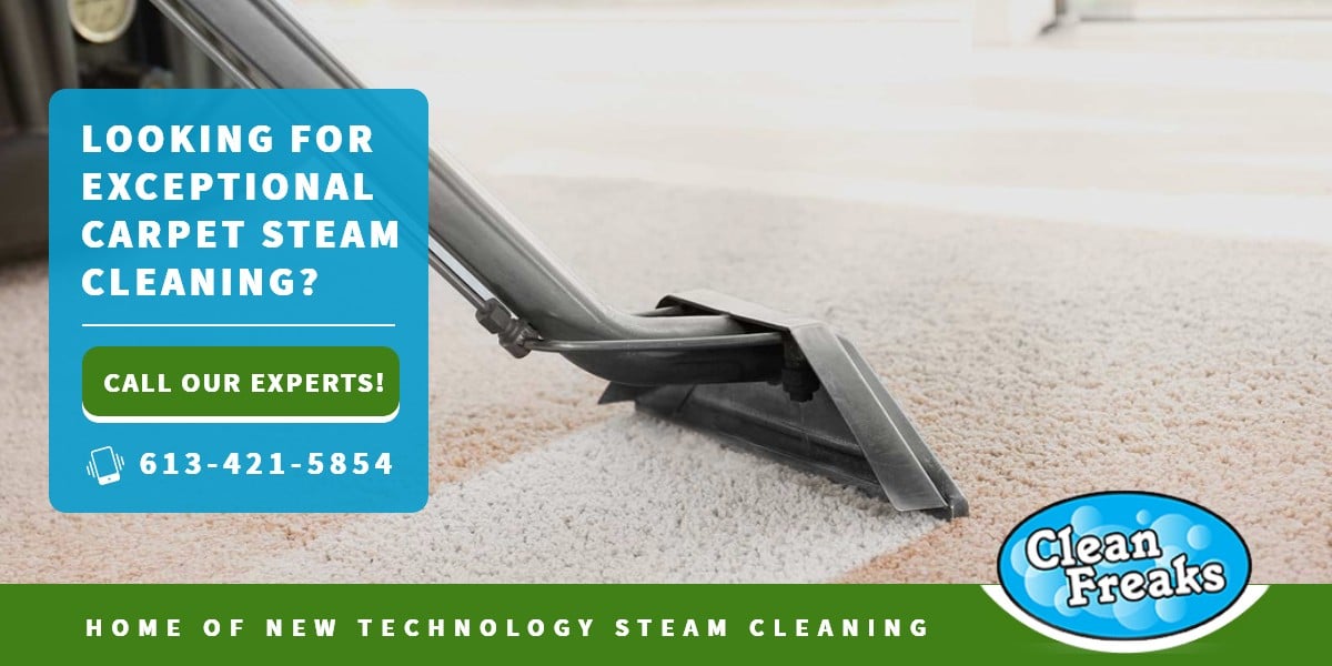Why you should hire a professional steam cleaner | Clean Freaks