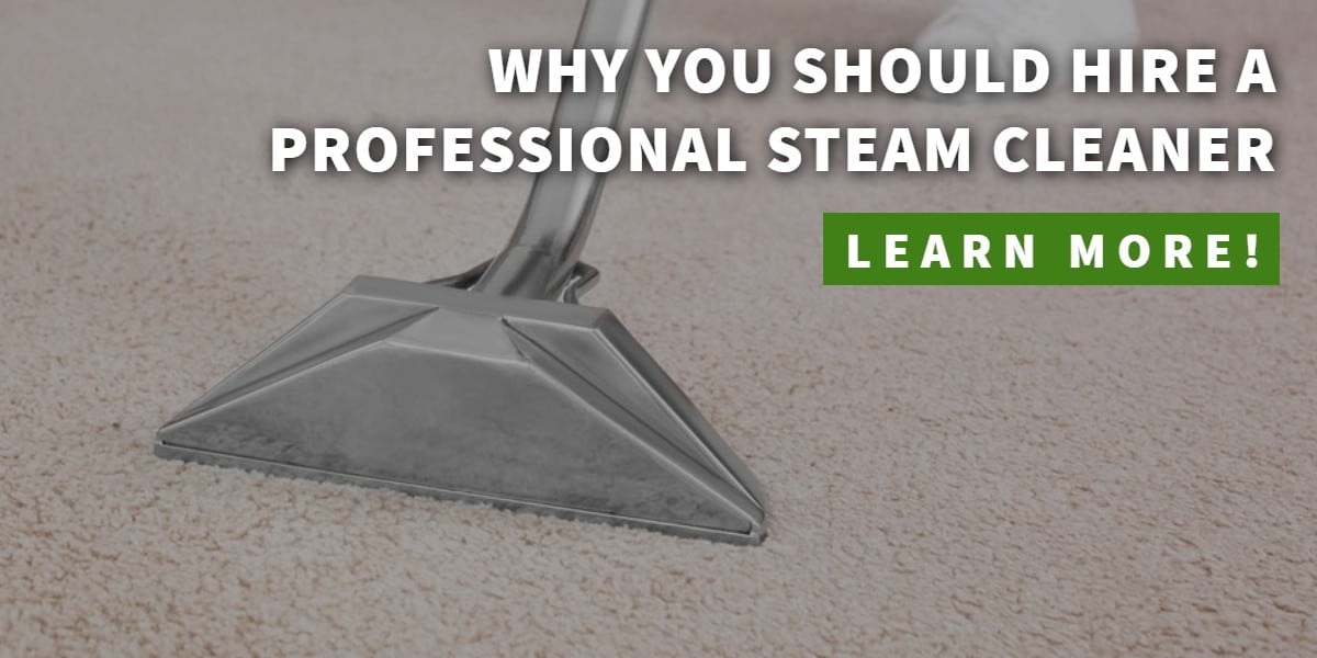 Why you should hire a professional steam cleaner - Featured image | Clean Freaks