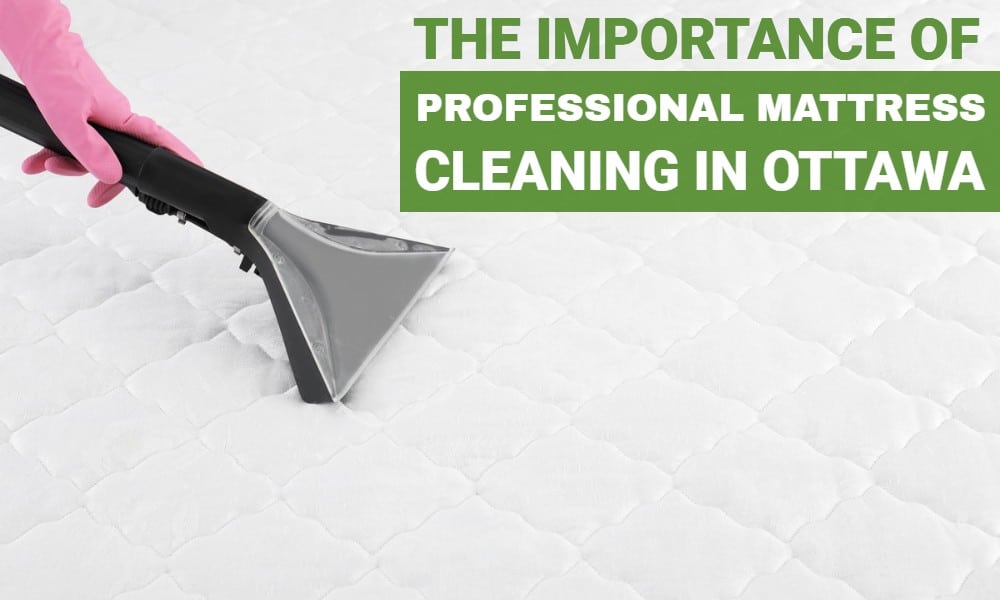 The Importance of Professional Mattress Cleaning