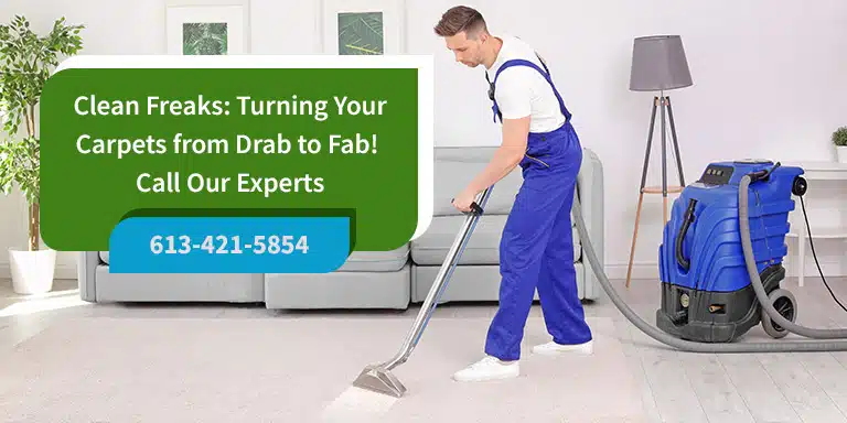 Expert Carpet Cleaners