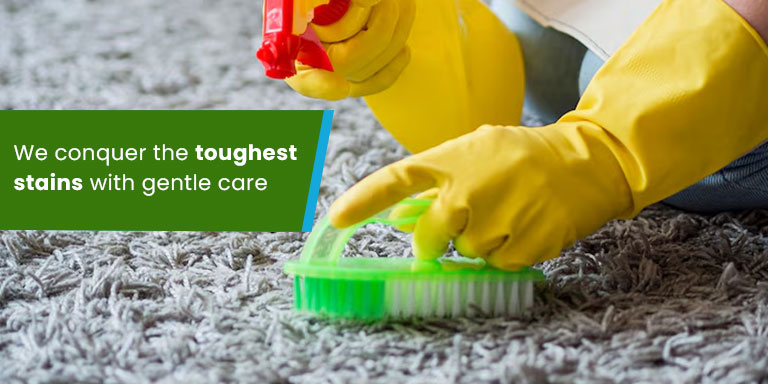 We conquer the toughest stains with gentle care.